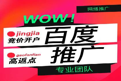 成功案例揭示：百度推广返点的运用之道