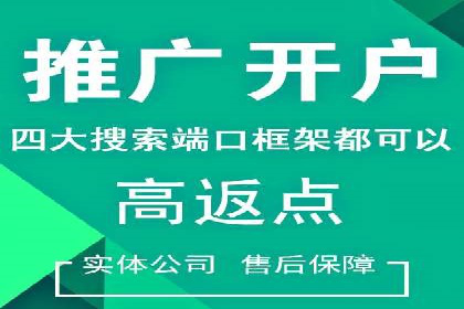 百度竞价排名策略优化：某公司广告投放效果翻倍的秘诀